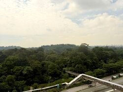 Bukit Timah Shopping Centre (D21), Office #566797241